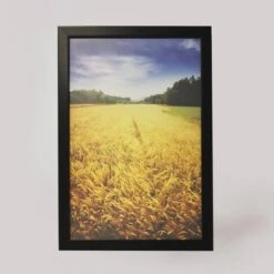 1" Profile Poster Frame Black - Room Essentialsâ˘